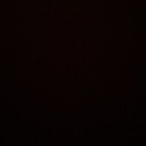 Meet your Posher, Winston